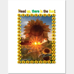 Sunflower - head up Posters and Art